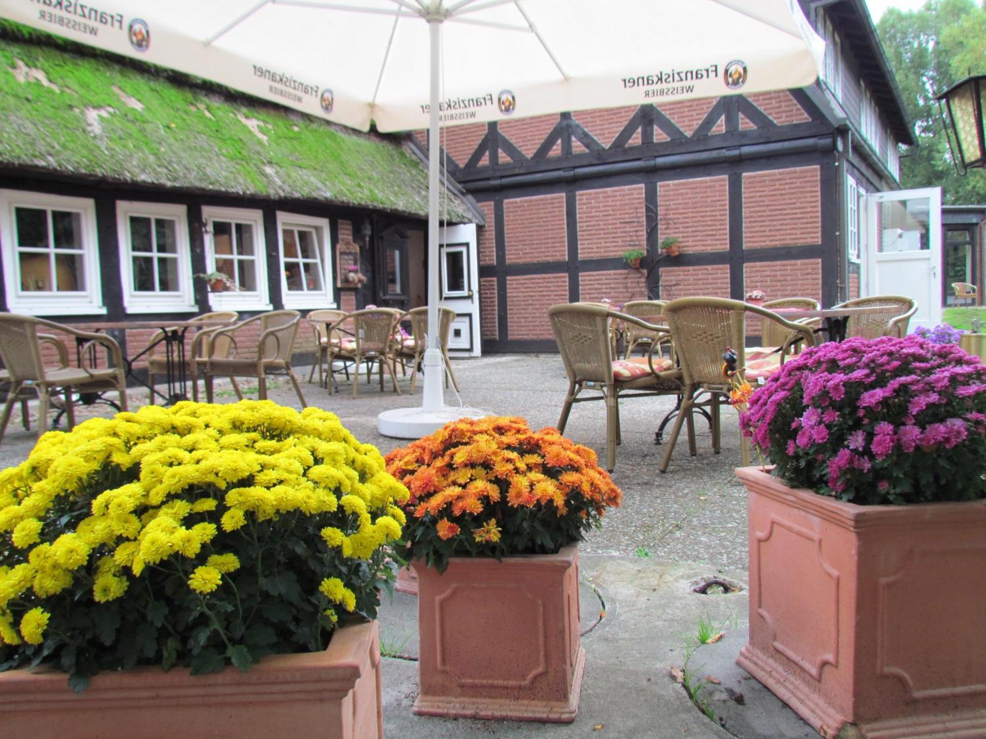 Suhlendorf Ihr Ferien Hotel Brunnenhof מראה חיצוני תמונה